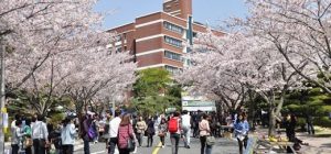 Danh sách các trường cao đẳng nghề uy tín tại Hàn Quốc